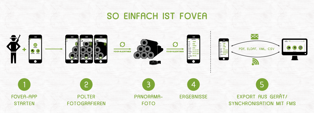 iFOVEA